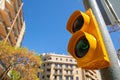 Pedestrian traffic light