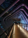 Pedestrian walk at the night