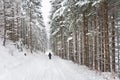 Pedestrian walking through the forest in winter