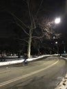 Pedestrian walks in New York`s Central Park in the evening in winter Royalty Free Stock Photo