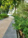 A pedestrian walkway in a city park