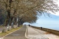 Pedestrian walkway for exercise or bikes lined up with beautiful tall trees in lake Pamvotis, Ioannina city. Greece Royalty Free Stock Photo