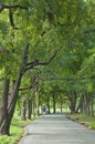 Pedestrian walkway for exercise lined up