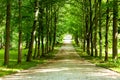 Pedestrian walkway Royalty Free Stock Photo