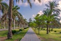 Pedestrian walkway framed with trees and palm trees on both sides with partly cloudy sky in a summer day, at a public park Royalty Free Stock Photo