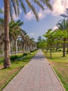 Pedestrian walkway framed with trees and palm trees on both sides with partly cloudy sky in a summer day at a public park Royalty Free Stock Photo