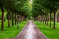 A pedestrian walkway made of tiles, leaving in perspective.