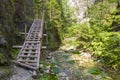 Pedestrian wooden bridge along the river in mountain gorge