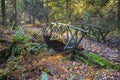 Wooden Bridge Hiking Trail Lush Autumn Foliage Stanley Park Vancouver BC Canada