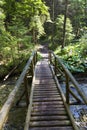 Pedestrian wooden bridge over the mountain river in forest Royalty Free Stock Photo