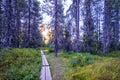 Pedestrian wooden path in wooded surroundings of Little Crater Lake