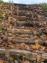 Pedestrian wooden stairs, tree leaves on footbridge, autumn day Royalty Free Stock Photo