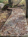 Pedestrian wooden stairs, tree leaves on footbridge, autumn day