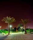 Pedestrian zone with palm trees at night in city of Nahariya, Israel. Royalty Free Stock Photo