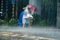 Pedestrians crossing street during Typhoon Megi