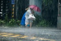 Pedestrians crossing street during Typhoon Megi