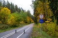 Pedestrin road in autumn forest. Asphalt road in deciduous forest. Wakl in park