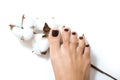 Pedicure. beautiful female feet with shellac coating on the nails, on a white isolated background