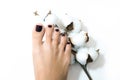 Pedicure. beautiful female feet with shellac coating on the nails, on a white isolated background