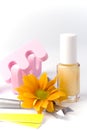 Pedicure beauty set Royalty Free Stock Photo