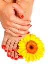 Pedicure feet of a young woman Royalty Free Stock Photo