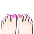 Pedicure Female Fingers Vector Illustration Of Female Feet Isolated On White Background