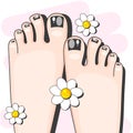 Pedicure Female Fingers Vector Illustration Of Female Feet Isolated On White Background