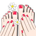 Pedicure Female Fingers Vector Illustration Of Female Feet Isolated On White Background