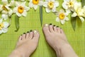 Pedicure with green nail Polish and slider Royalty Free Stock Photo