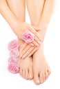 Pedicure and manicure with a pink rose flower Royalty Free Stock Photo