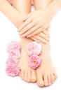 Pedicure and manicure with a pink rose flower Royalty Free Stock Photo