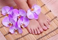 Pedicure with pink orchid flowers on bamboo mat Royalty Free Stock Photo