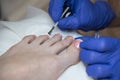 A pedicurist is painting toenails with the pink varnish. The hands in the blue gloves. Salon pedicure.