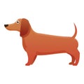 Pedigree dachshund icon, cartoon style Royalty Free Stock Photo