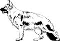 Pedigree dog drawn in ink by hand on a white background, logo