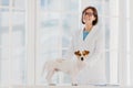 Pedigree dog russell terrier examined and consulted by veterinarian, pose near examination table in vet clinic, going to have