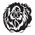 Pedigreed dog pekingese breed for tattoo and screen vector design Royalty Free Stock Photo