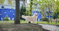 Pedigreed Golden Retriever on a walk in the park stands and looks into the distance. Photo of a dog. High quality photo. dogs and