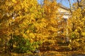 Pediment of back facade of theater is in colorful autumn foliage