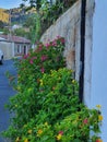 Pedoulas village on Troodos mountains in Cyprus Island