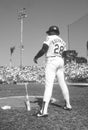 Pedro Guerrero Los Angeles Dodgers Royalty Free Stock Photo