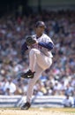 Pedro Martinez Royalty Free Stock Photo