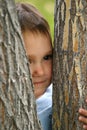 Peek A Boo Royalty Free Stock Photo