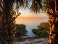 Peek through the palms Gulf of Mexico senset Royalty Free Stock Photo