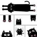 Peeking cat, long kitten body, paw print, scratching scary black cat set. Funny head face. Cute cartoon character. Kawaii funny