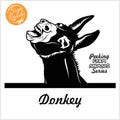 Peeking Donkey - Cheerful neighing Donkey peeking out - face head isolated on white Royalty Free Stock Photo