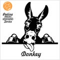 Peeking Donkey - Cheerful neighing Donkey peeking out - face head isolated on white