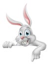 Peeking Easter Bunny Rabbit Pointing Cartoon Sign