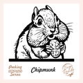 Peeking Friendly Chipmunk - vector illustration isolated on white