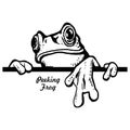 Peeking Frog - Comic Animal - Funny Animal - Wildlife Stencil - vector clipart stock Royalty Free Stock Photo